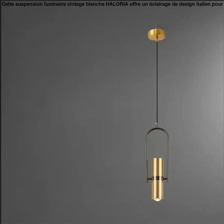 Suspension luminaire sigo en laiton brossé avec spot orientable et ampoule cylindrique suspendue par cadre métallique arquée