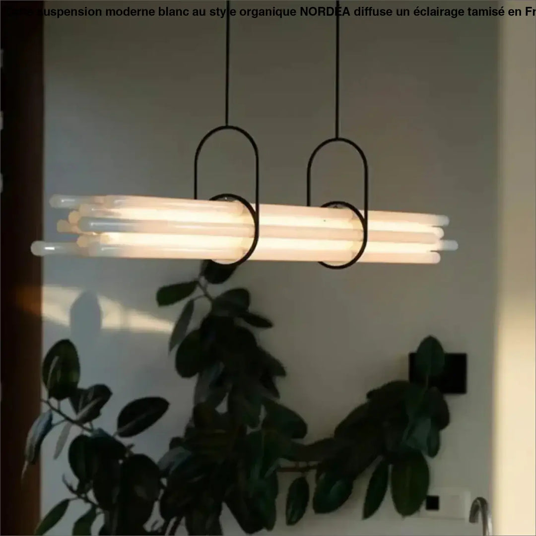 Suspension luminaire tubulaire design noir et blanc chic