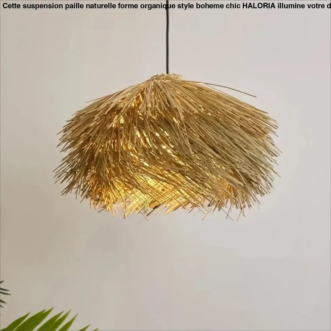 Suspension Paille Naturelle Forme Organique Style Bohème Chic