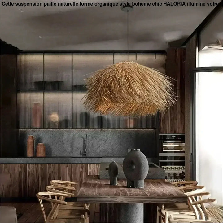Suspension Paille Naturelle Forme Organique Style Bohème Chic