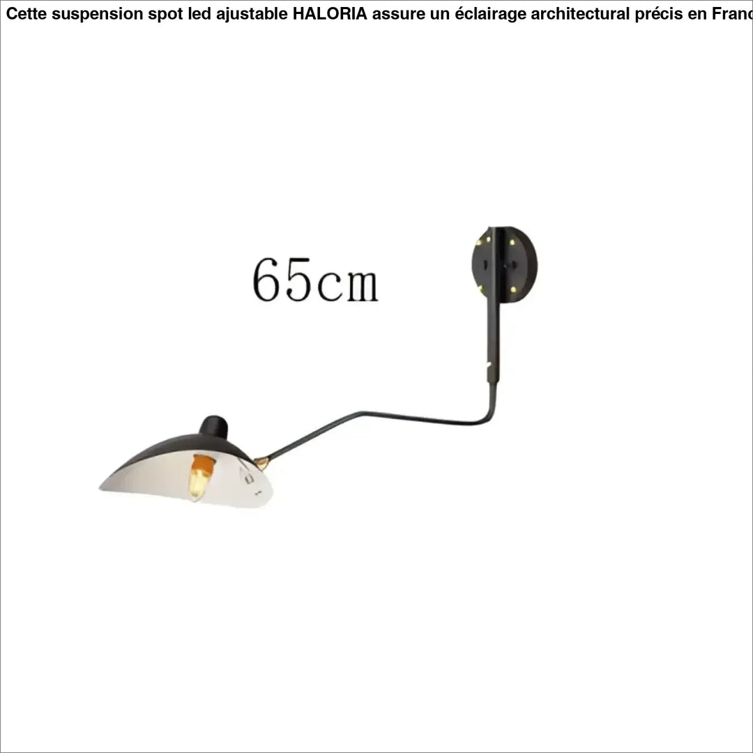 Applique industrielle orientable noir mat luminaire raffiné