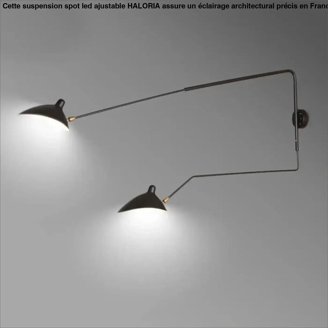 Applique industrielle orientable noir mat luminaire raffiné