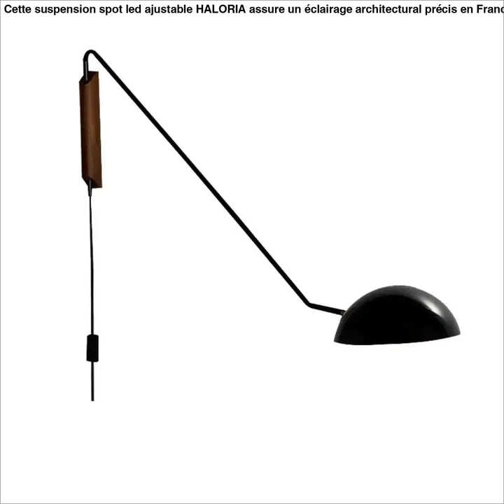 Applique industrielle orientable noir mat luminaire raffiné