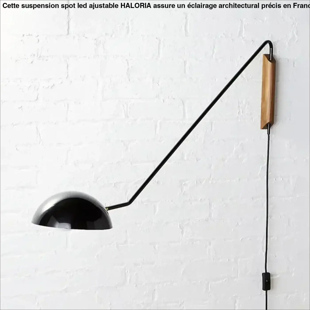 Applique industrielle orientable noir mat luminaire raffiné