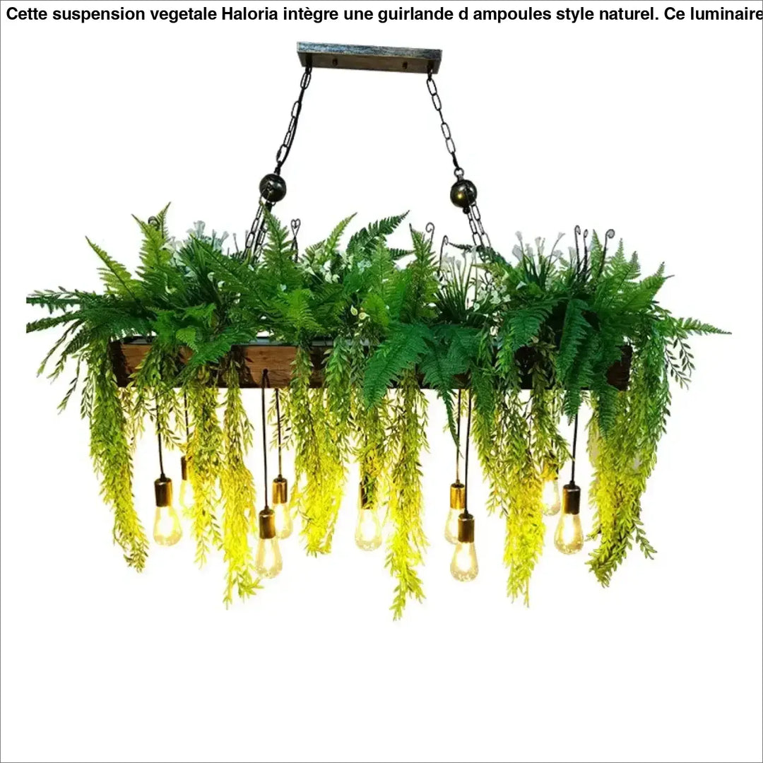Suspension végétale avec guirlande d’ampoules style naturel cosy

