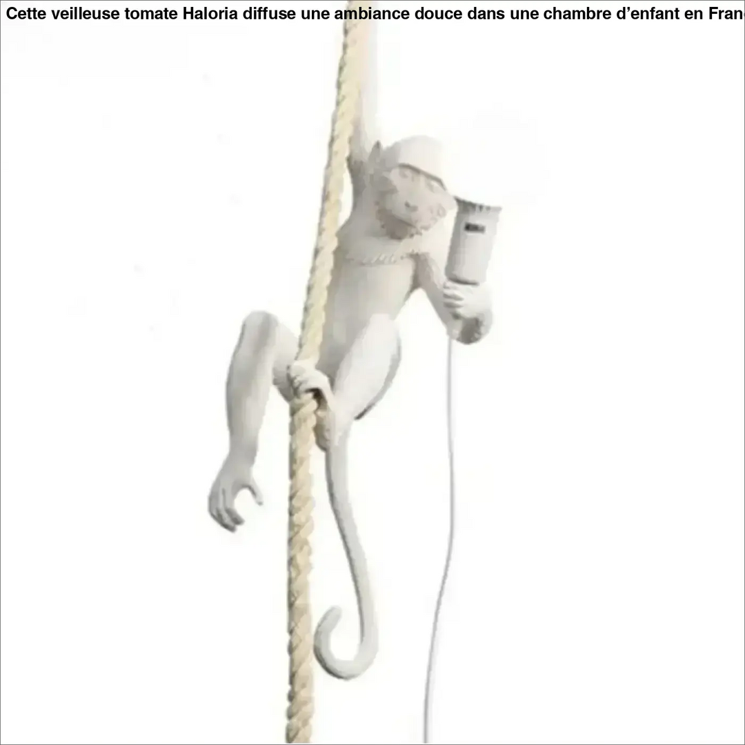 Suspension luminaire babak avec lampe murale singe en céramique blanche et design corde sans frais supplémentaires