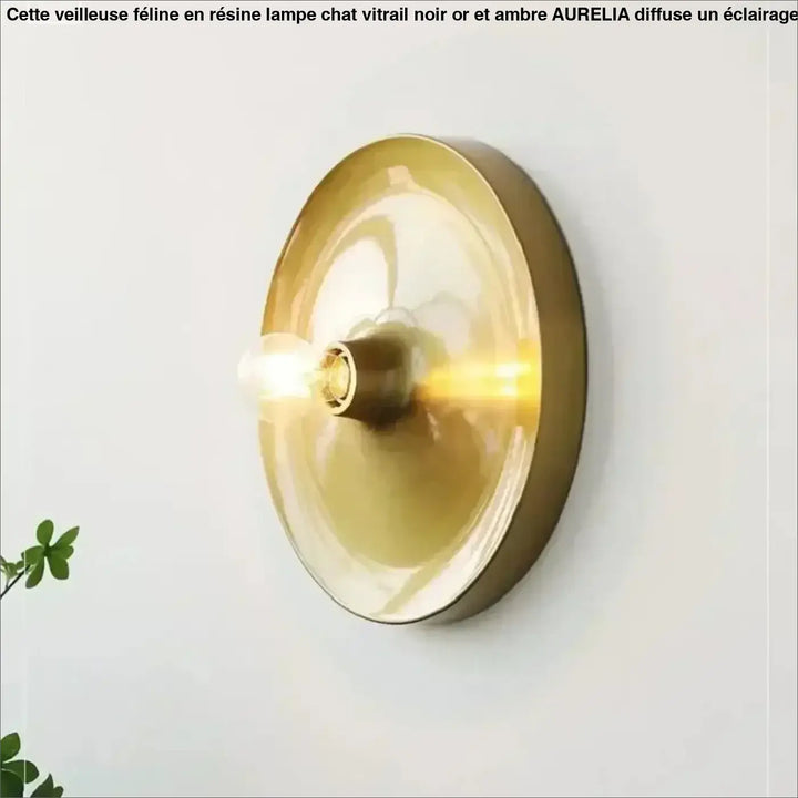 Applique murale contemporaine gong en laiton circulaire avec abat-jour en verre dépoli et ampoule apparente