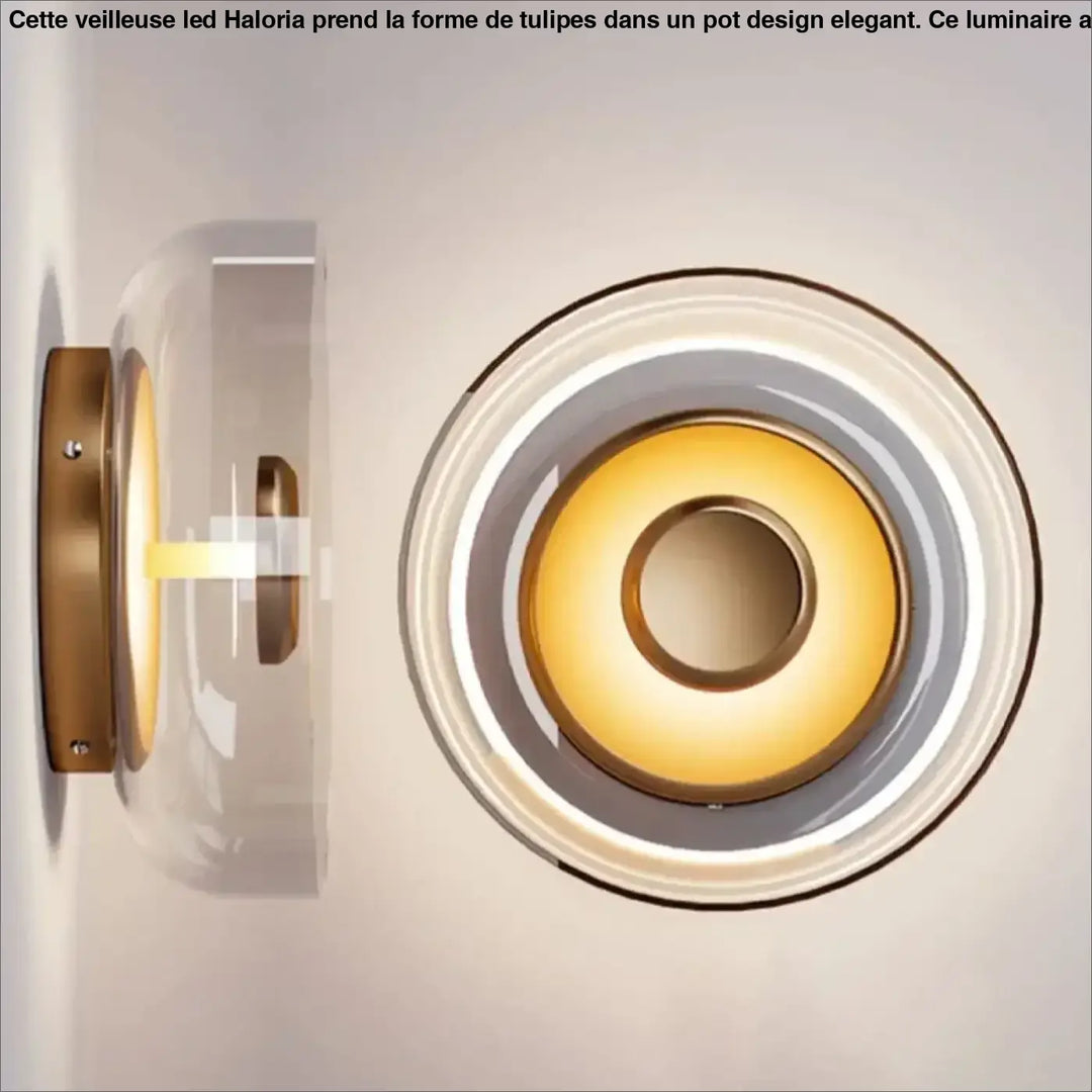 Applique murale oria minimaliste en laiton avec dôme de verre clair et anneaux circulaires rétro émettant une lumière dorée