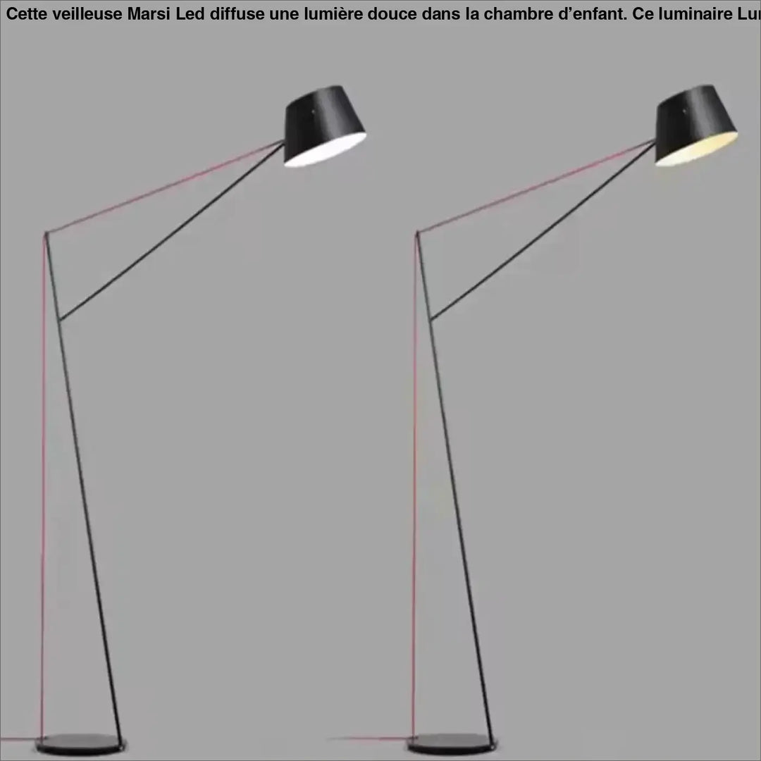 Lampadaire minimaliste noir à bras long orientable moderne