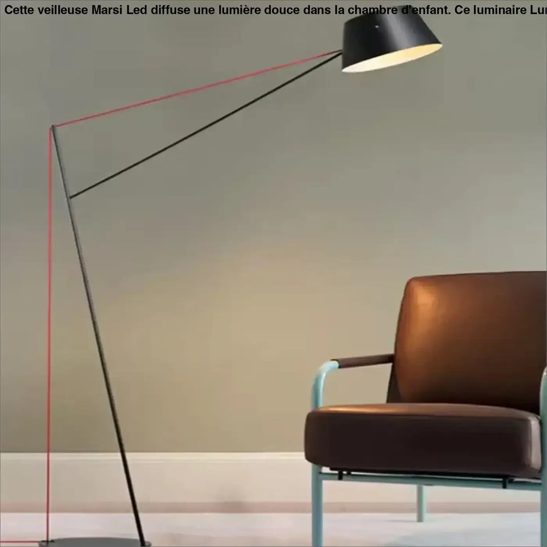 Lampadaire minimaliste noir à bras long orientable moderne